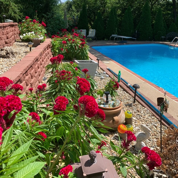 Meet your Posher, Halina - Picture 15 of 16